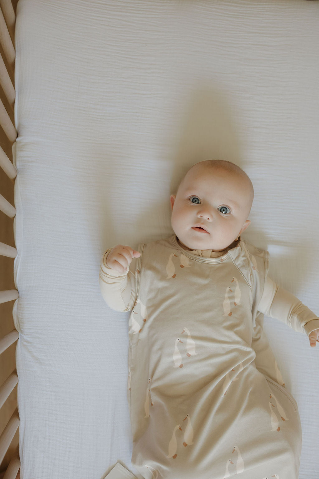 bamboo sleep sack // silly goose