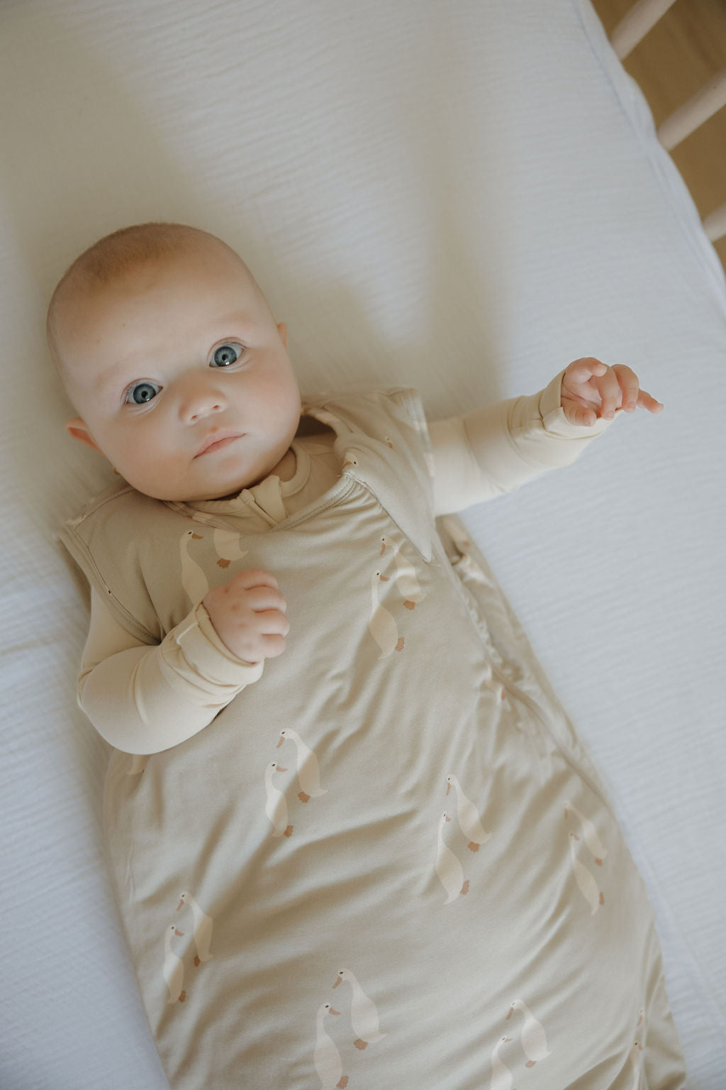 bamboo sleep sack // silly goose