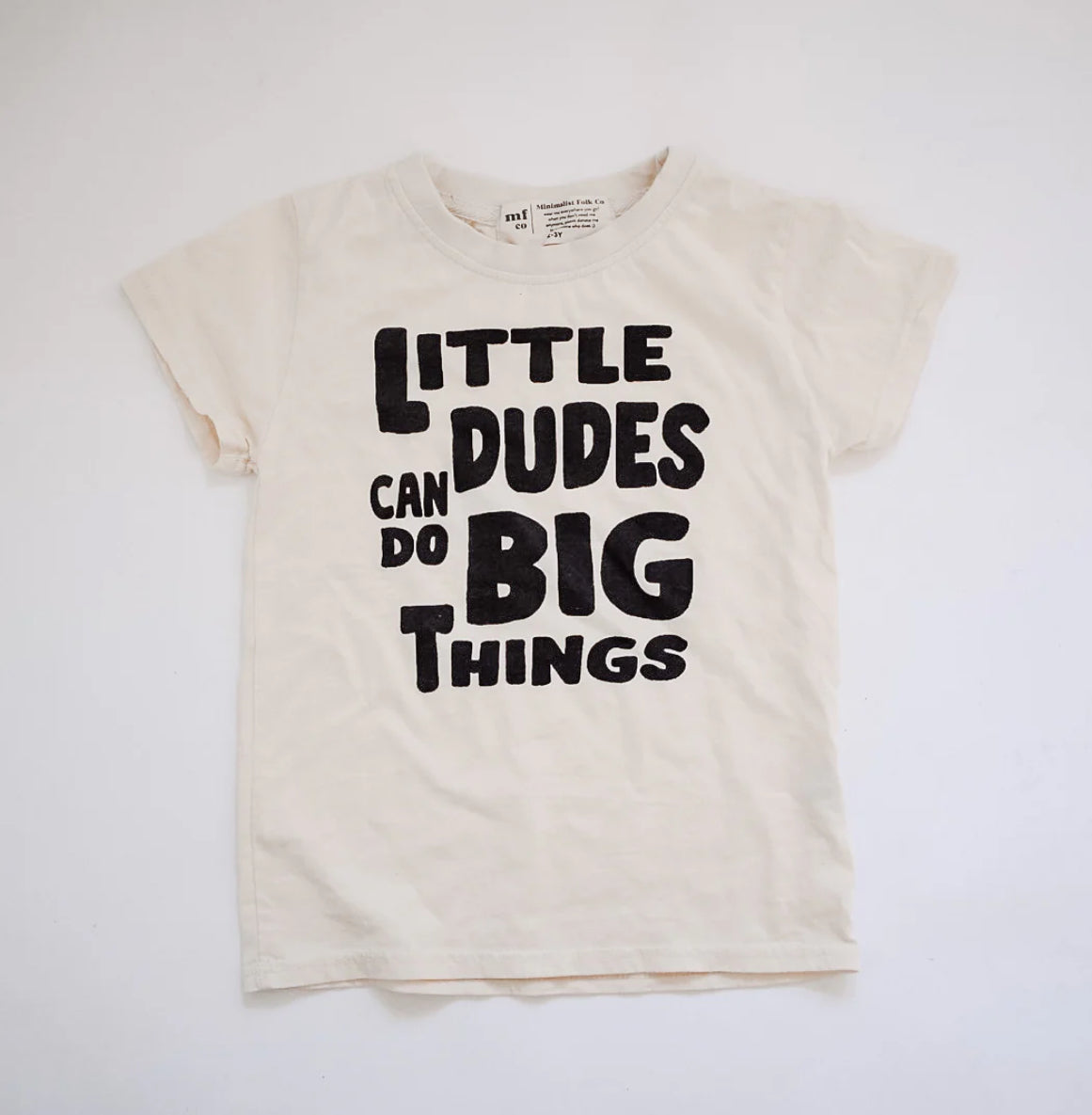little dudes can do big things tee