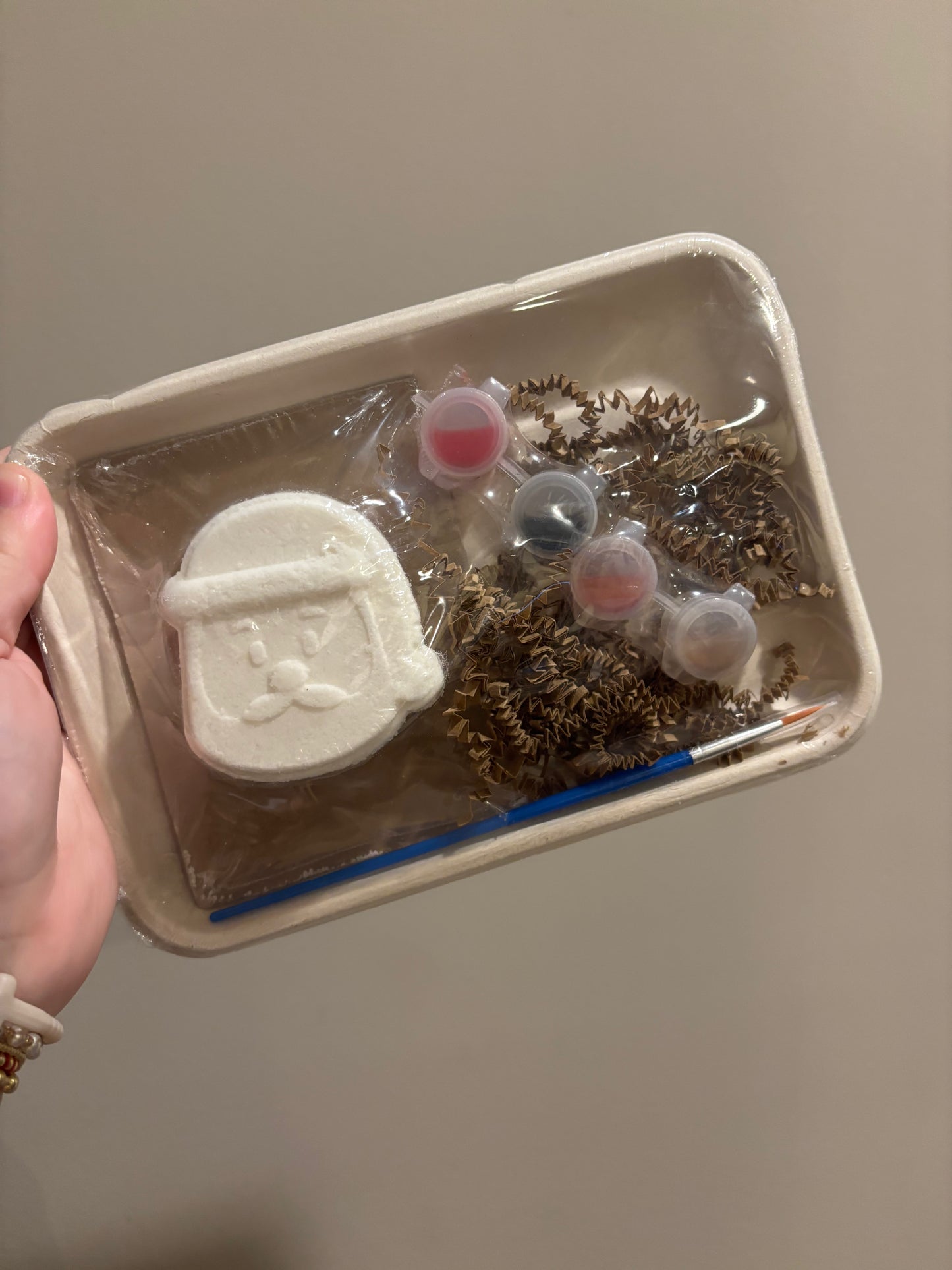 paint-your-own bath bomb kit // two styles available!