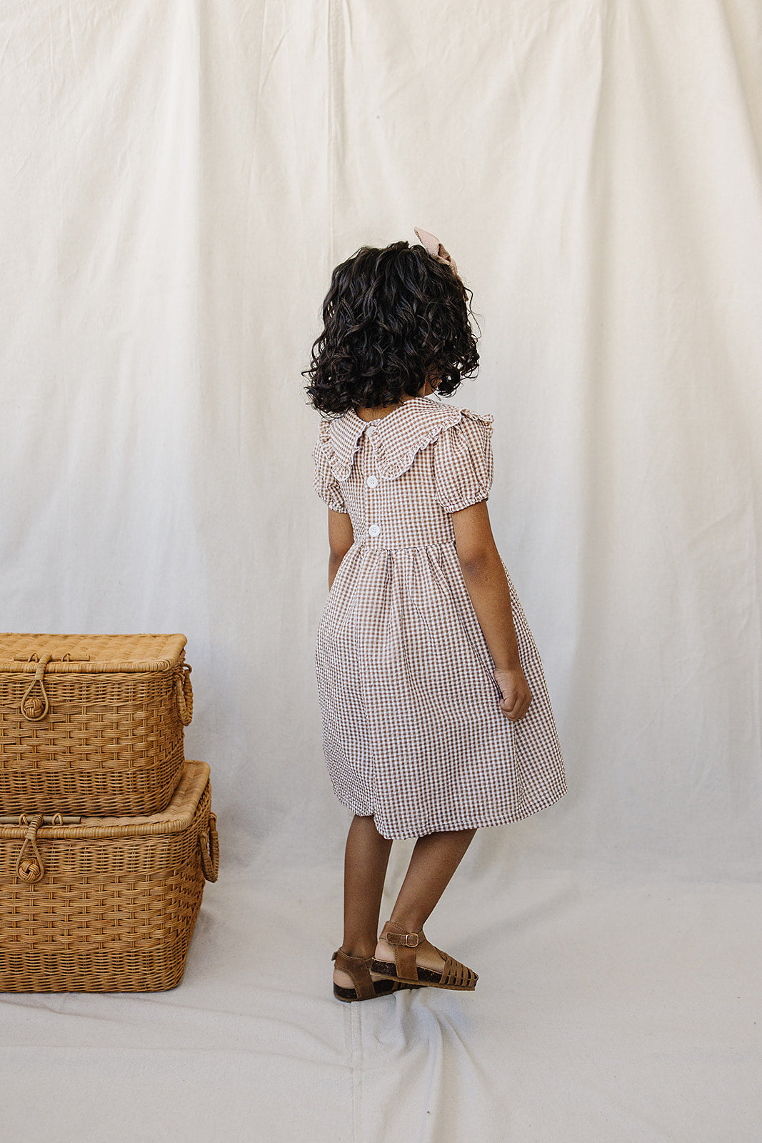 gingham peter pan collar dress (sizing up to 8/9)
