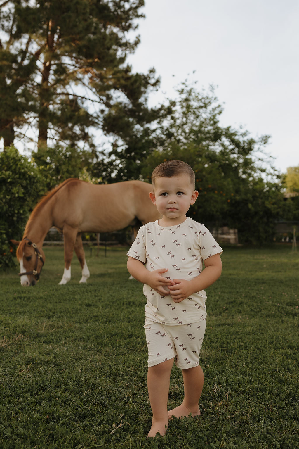 wild horses bamboo pajamas // SHORTS SET
