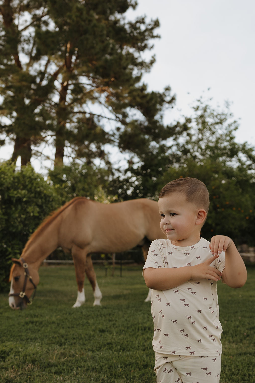wild horses bamboo pajamas // SHORTS SET