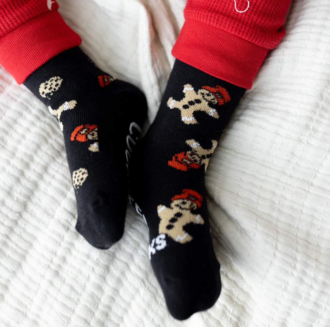 gingerbread cookie tester socks