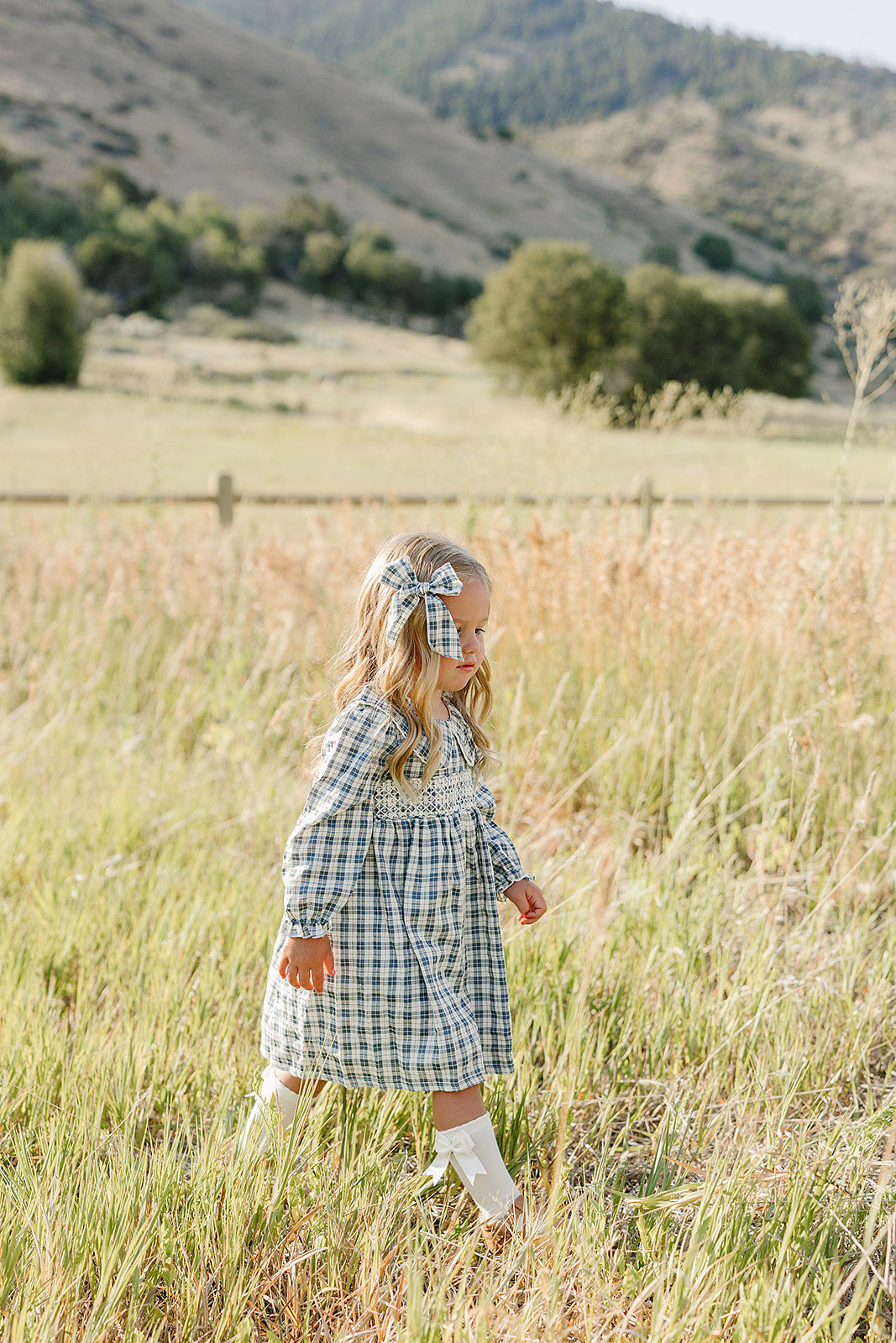 blue plaid ruffle collar dress