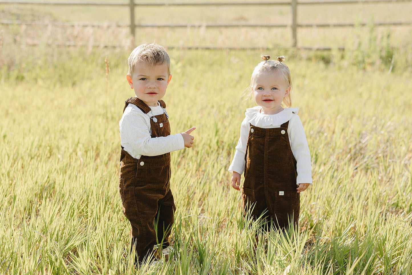 brown corduroy dress