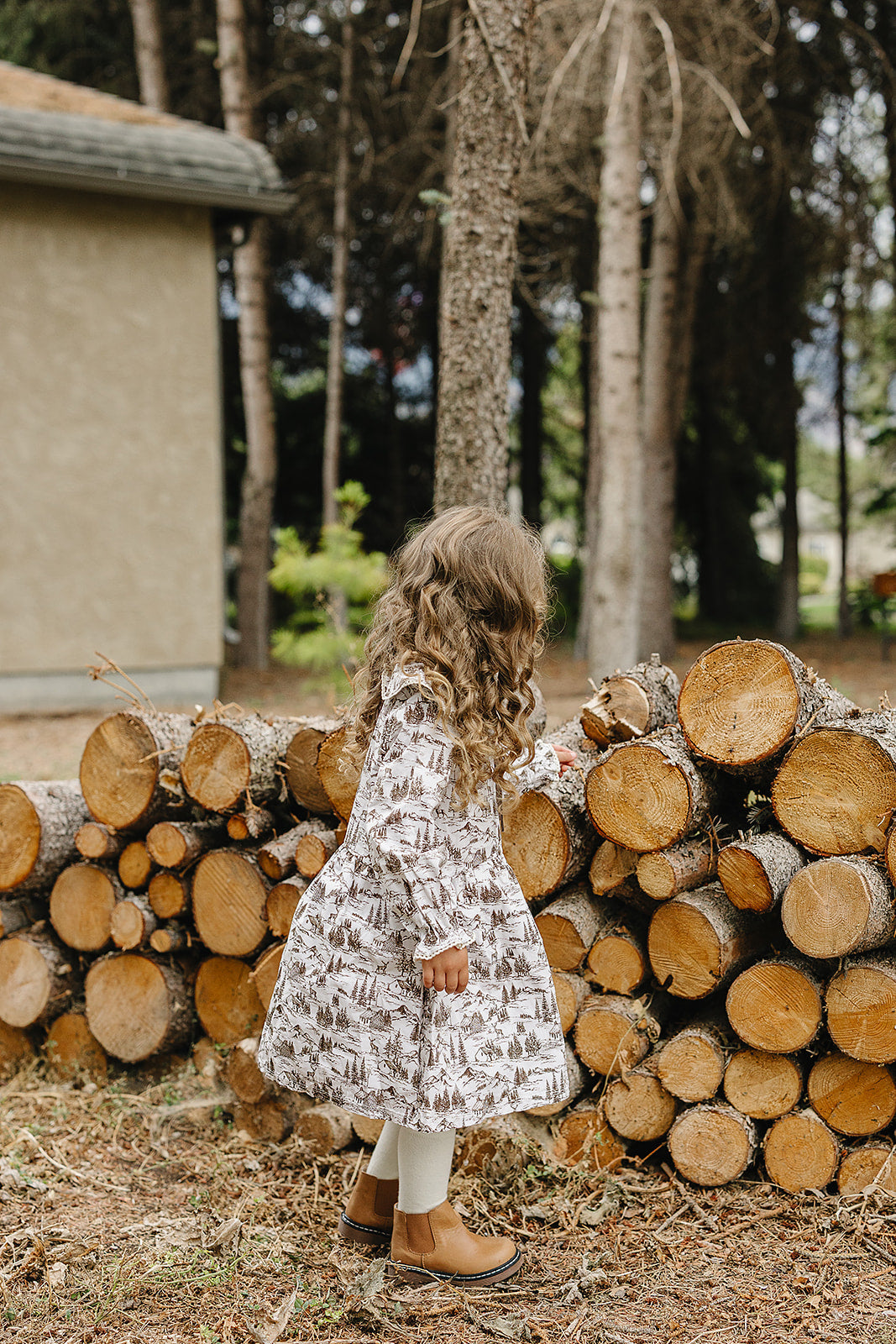 brown toile dress