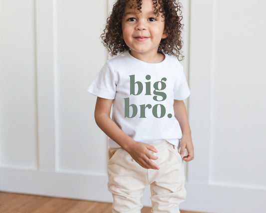 big bro organic cotton tshirt // 4 color options